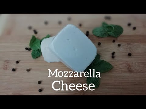 mozzarella Cheese at home/homemade mozzarella cheese /no rennet cheese recipe /cheese