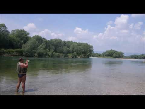 NAPADI BOLENA NA POVRŠINSKE VARALICE/TOPWATER ASP STRIKES