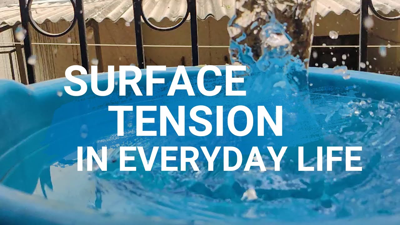 What are some examples of surface tension in everyday life? More REF