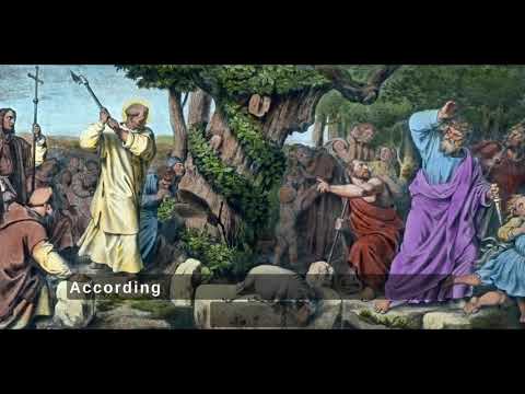 Donar Eiche -  Donar Oak