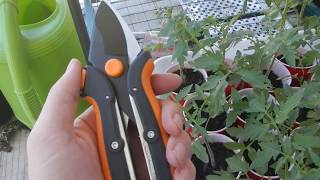 Fiskars power Grip bypass pruners Review 1 0f 2