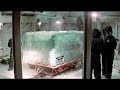 A Giant 40.000 Years Old Ice Coffin Found in the Arctic. The Creatures Inside Are Still Alive!