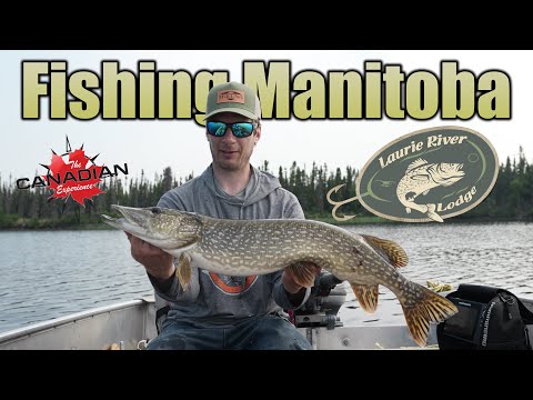First Class Fly-In Fishing at Manitoba's Laurie River Lodge!