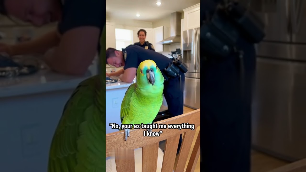 Parrot ROASTS Police Officer with Savage Comeback