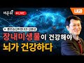 내몸에닥터 장내미생물이 건강해야 뇌가 건강하다 좋은숨김휘정내과 김용성