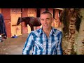 RSPCA Animal Rescue Anthony Field Brumbies Intro 2007 2009