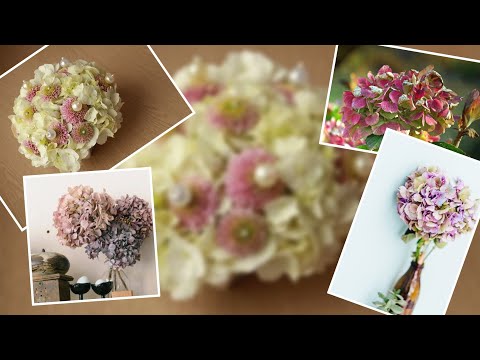 NOW IS THE RIGHT TIME TO DRY HYDRANGEA FLOWERS AND HERE'S HOW TO DO IT
