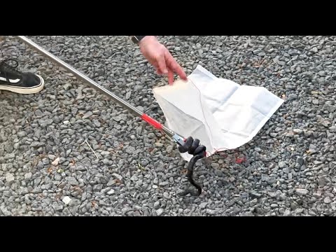 Snake Grabber