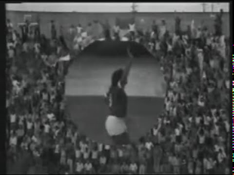 1973 Palmeiras 2 x 0 Portuguesa - Campeonato Paulista