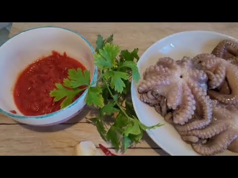 Oktapod në salcë @gatime_te_shijshme_MDD