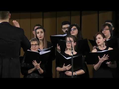 Vox Medicalis - Drum de iarna - Visarion Sebalin