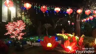 Till I Met You by: Lea Salonga