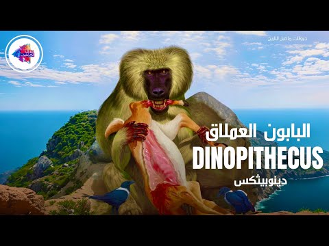 حيوانات ما قبل التاريخ  دينوبيثكس Dinopithecus