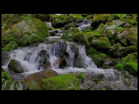 Transylvania Holiday