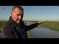 Meer soorten planten en beesten in Flevoland dankzij duurzame oevers
