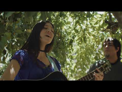 LaVitrola.cl: Pajarita - Respira y camina #LaVitrolaAraucanía