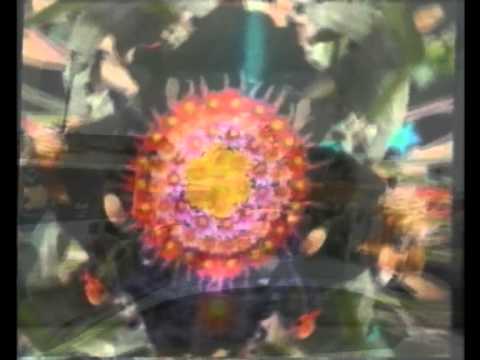 THOMPSON TWINS - 'KISS FM Interview 1991'