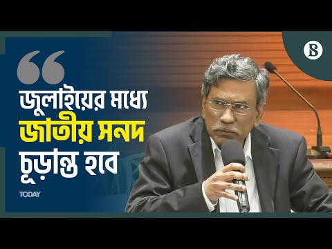 রাজনৈতিক দলগুলোর সম্মতি আছে এমন বিষয়গুলোই জাতীয় সনদে থাকবে: আলী রীয়াজ | The Business Standard