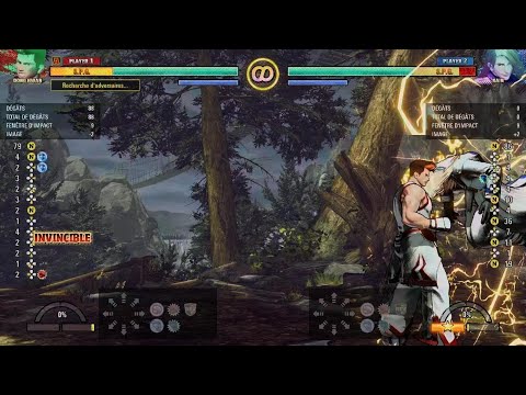 FATAL FURY: City of the Wolves Kim Dong Hwan combo 2 hit counter