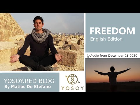 Matías De Stefano, Day 140 - FREEDOM - YOSOY BLOG: Toroide-Emotional-Sagittarius, Read by Joan 12/21
