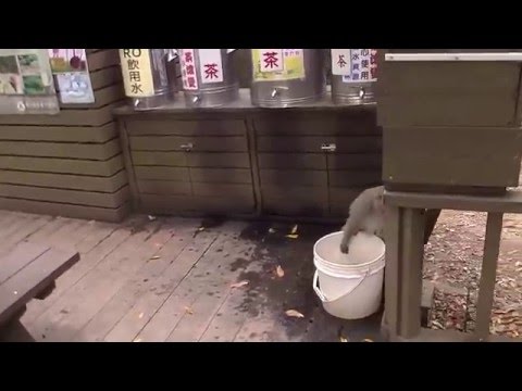 Taiwan “Parque Shoushan” Kaohsiung