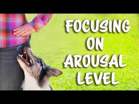 STOP UNWANTED behaviors with BACK UP