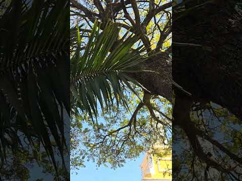 Un dia Éspectacular desde la Ciudad Procer de #Totonicapán. #Guatemala.