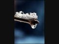Someone's Watching.wmv