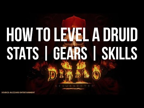 Eq Druid Leveling Guide