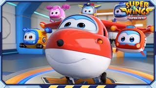 Download lagu ✈ [SUPERWINGS] Superwings5 Super Pets! Full Episodes Live ✈ mp3