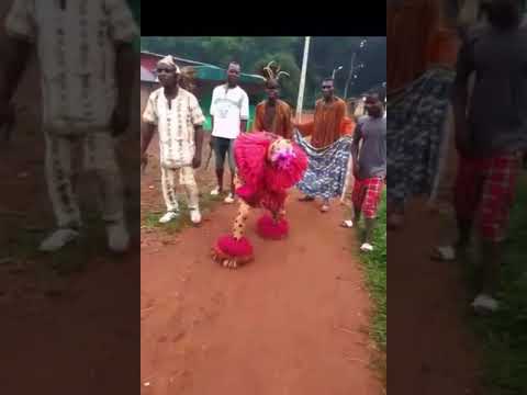 la danse blaon panthère. ouest de la côte d'ivoire.siébly.culture africaine. kebi kessio.