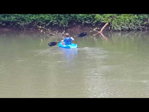 Lifetime Wave Youth 6ft Kayak. First time out.