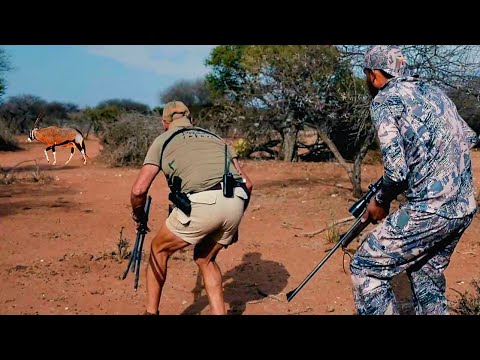 Behind the African Clown-Faced Animal, Hunting in Africa