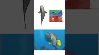 Expert Fluid Dynamics Engineer Shares Stunning Fish Swimming CFD Simulation