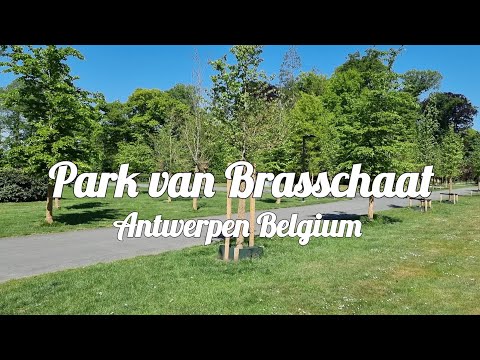 Park Van Brasschaat 4K