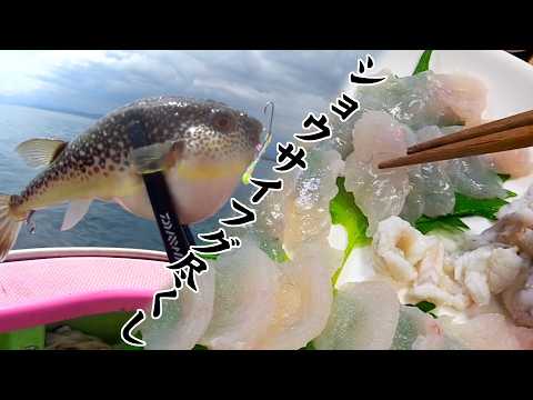 Pufferfish fishing offshore in Sagami Bay [Evening drinks consist entirely of pufferfish]