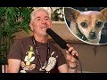 Being The Voice Of The Taco Bell Dog Was Carlos Alazraqui S Easiest Paycheck