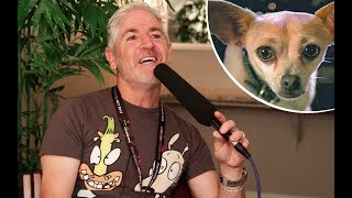Being the voice of the Taco Bell dog was Carlos Alazraqui’s easiest paycheck