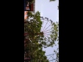 Bullet train ride of Essel World