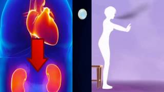 La Cohérence du Lotus : respiration guidée de 3min