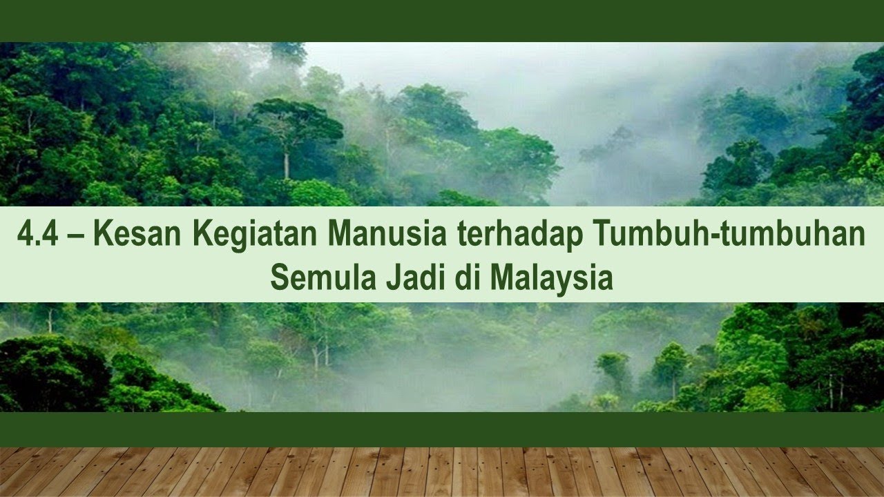 Kesan Positif Kegiatan Manusia