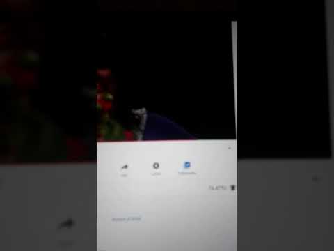 Profeetat cheek VAIN ELÄMÄÄN KAUSI 10