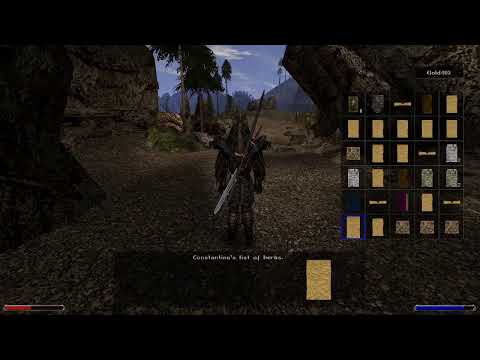 Gothic 2 . Chapter 5, Switching to Two Handed wagon