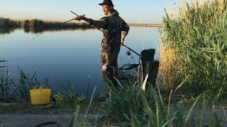В какое время клюют караси