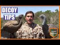 TIPS Choosing Turkey Hunting Decoys To Maximize Results South Texas Wide Open Sportsman