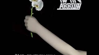 Twin Arrow- Secret Agent X-9 (Modest Mouse Cover) Audio