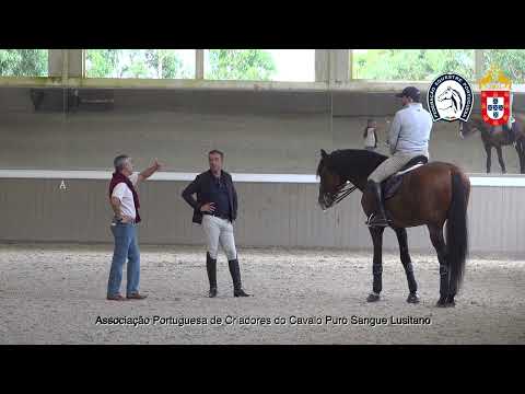 220902 2 Proj Ensino APSL&FEP - Gilberto Filipe com Nectar Plus