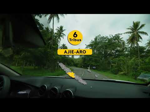 Municipales 2020 : gros plan sur la commune de Bourail