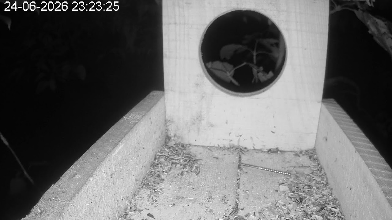 Live webcam view of Botanical Garden Bird Feeder Cam