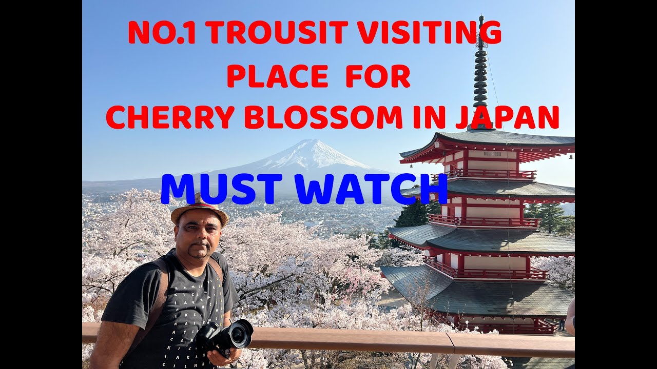 Chureito Pagoda Yamanashi Cherry blossom